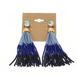 Ombré Bead Earrings